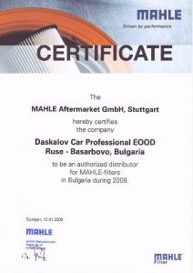 Mahle Certificate